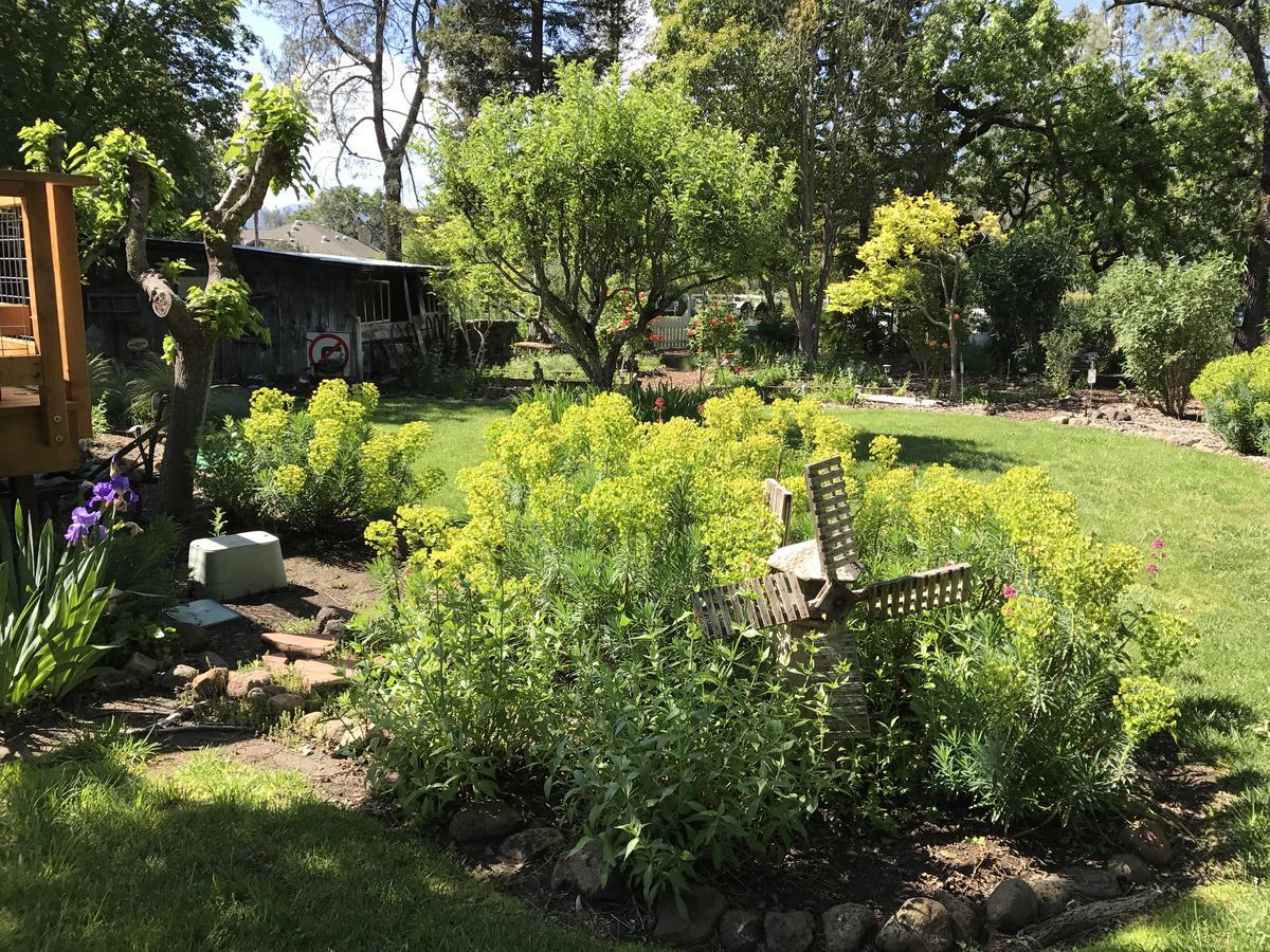 Trailside Inn Bed And Breakfast Calistoga Esterno foto