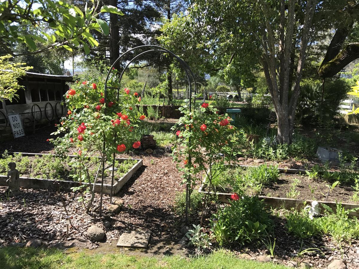 Trailside Inn Bed And Breakfast Calistoga Esterno foto